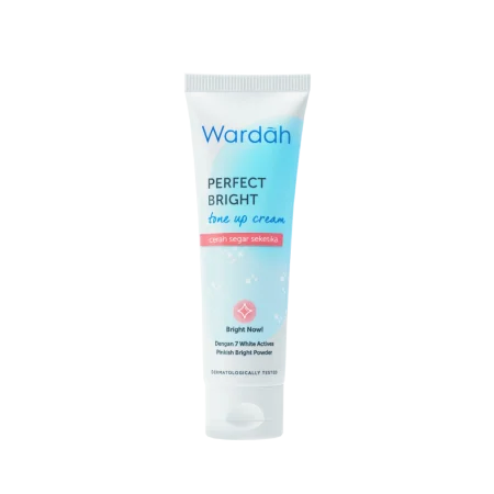 PERFECT BRIGHT TONE UP CREAM
